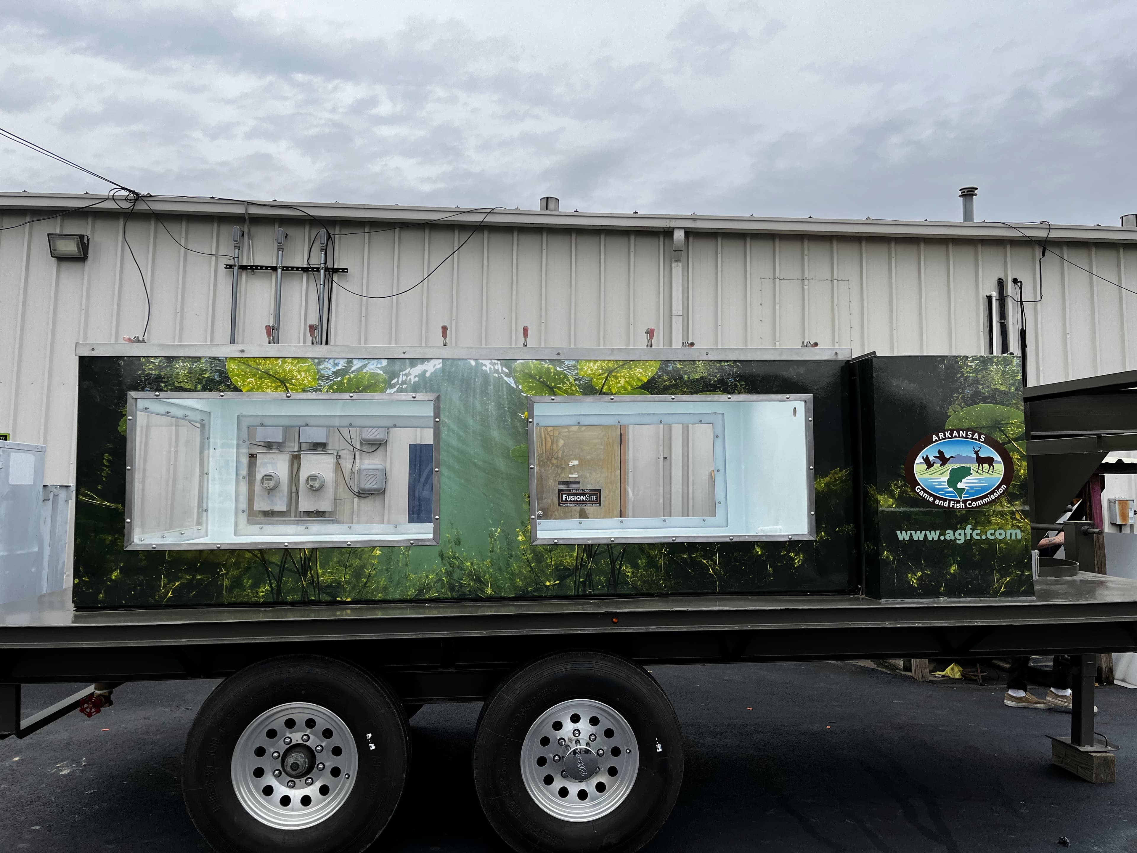 AR Game & Fish — Trailer Wrap