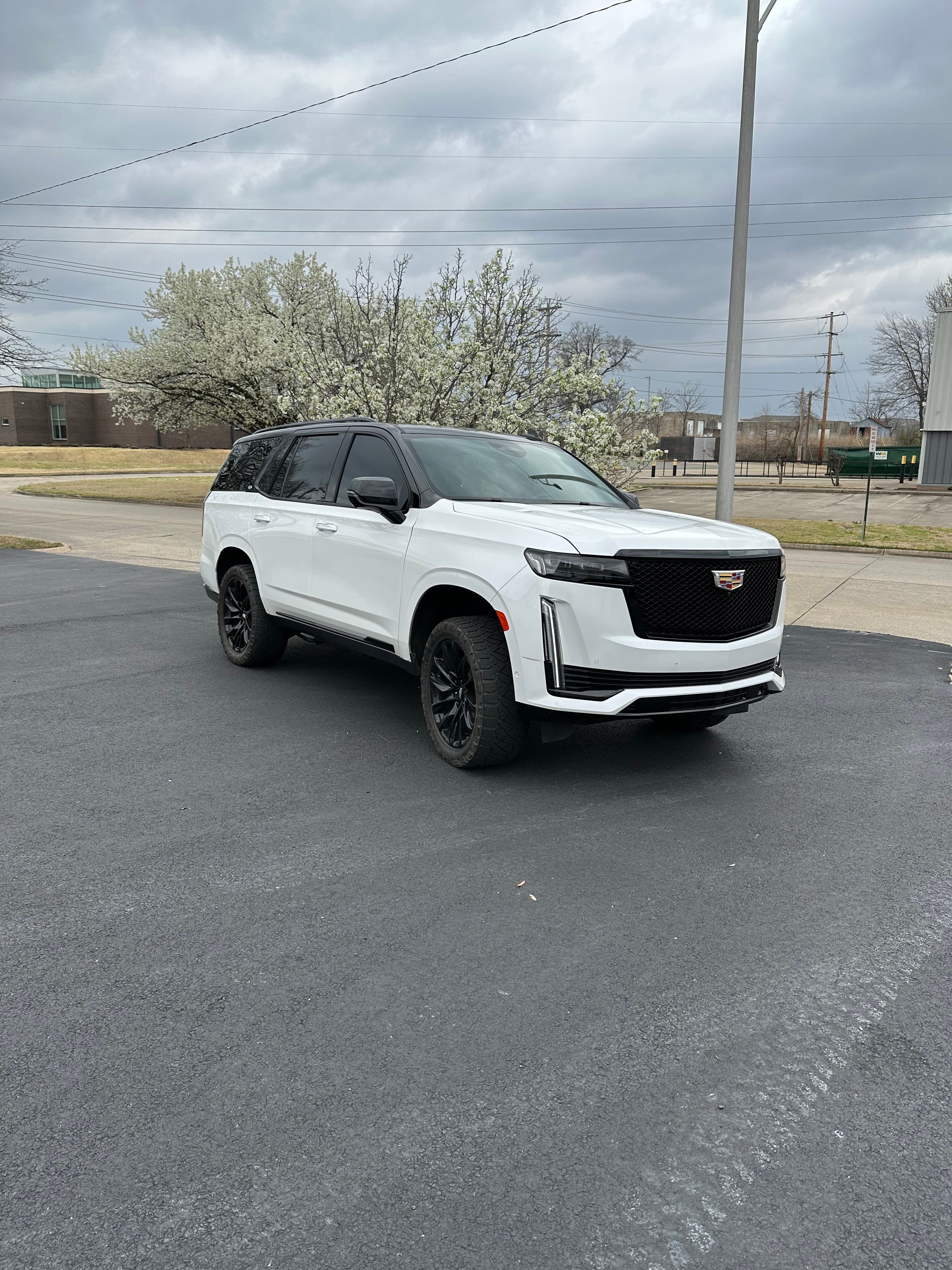 Cadillac Escalade — Tuxedo Wrap
